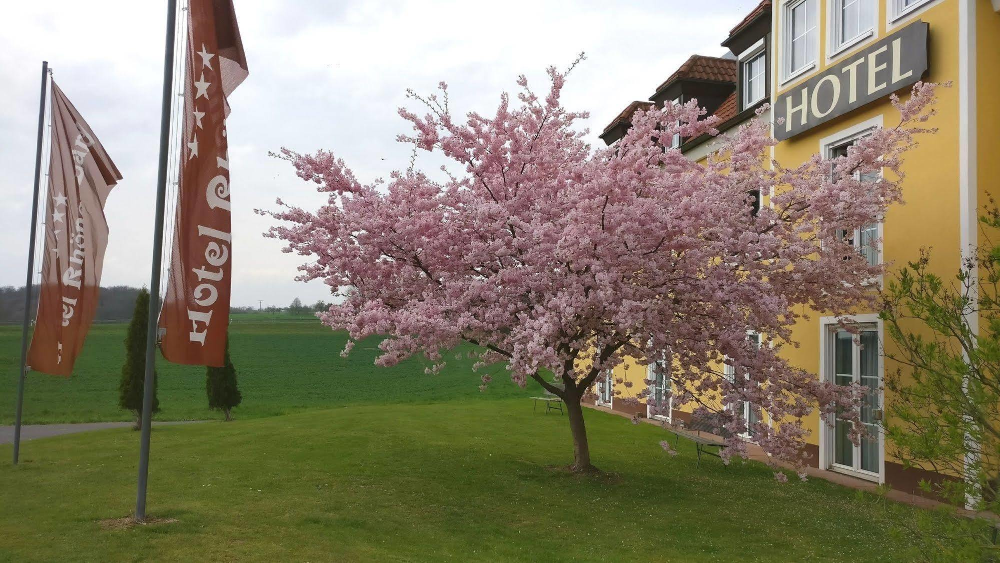 Hotel Rhoener Land Garni - Bed & Breakfast Oberthulba Dış mekan fotoğraf